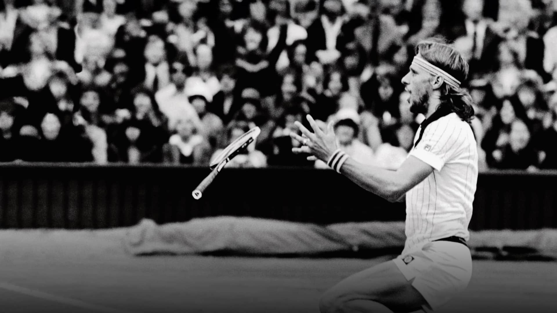 كأس بيورن بورغ