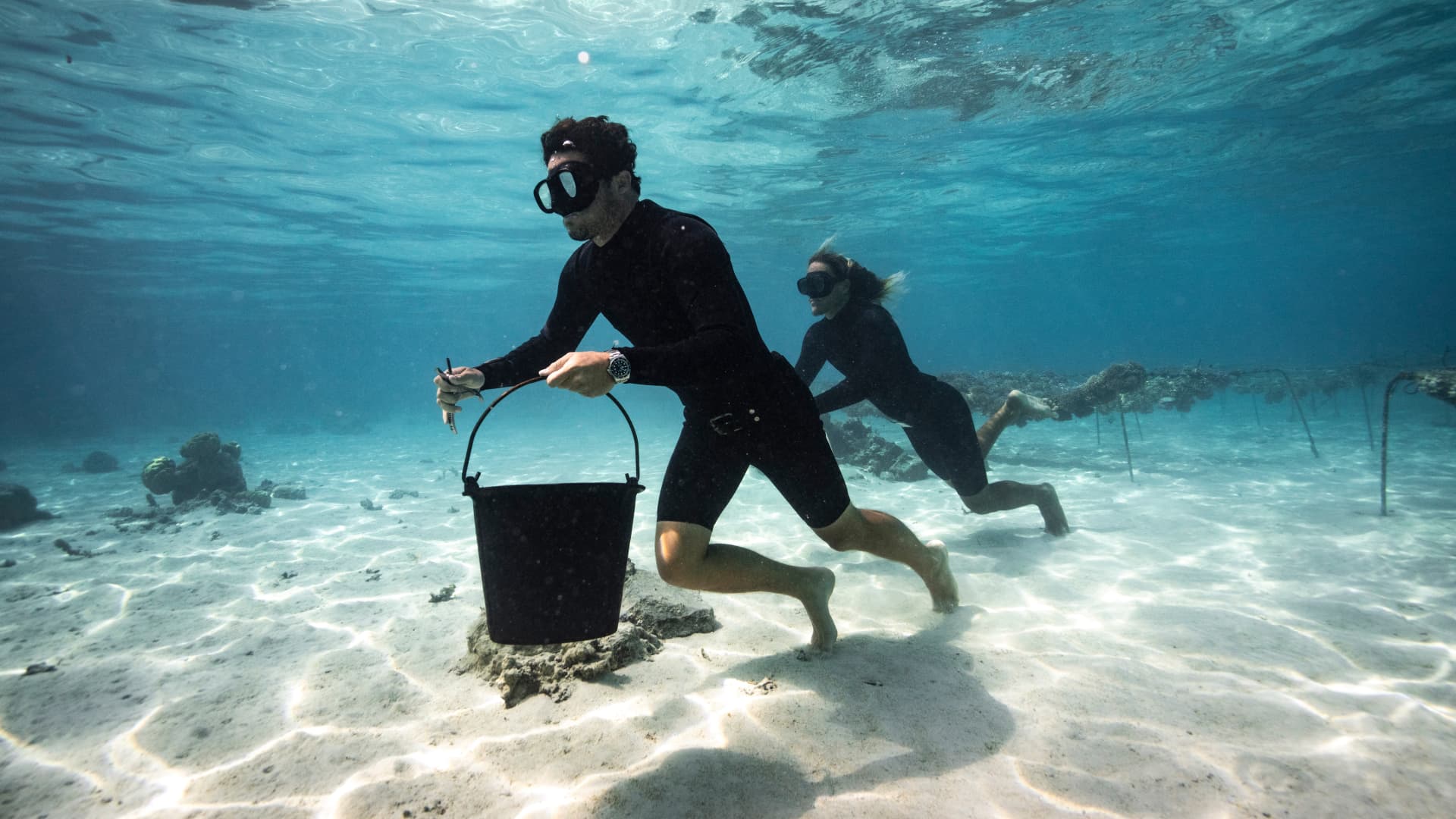 Bernicot pflanzt die Koralle im Meer an.