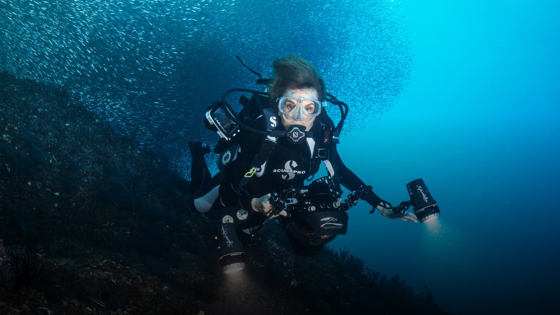 Sylvia Earle