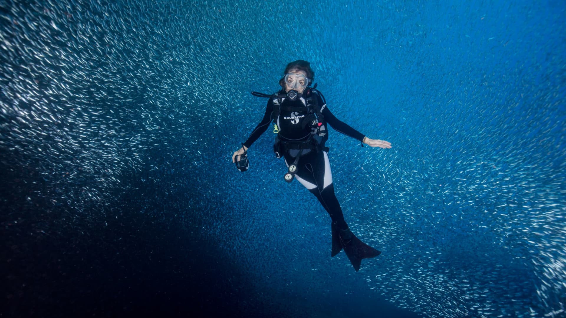 Sylvia Earle dưới nước