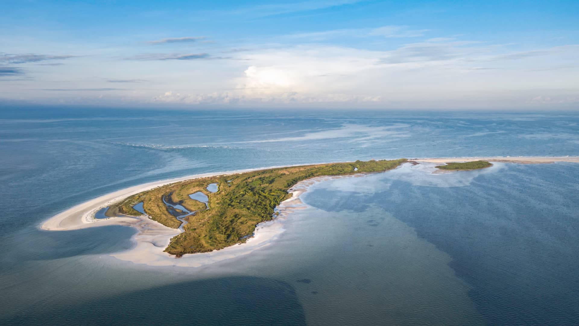 Đại dương hy vọng