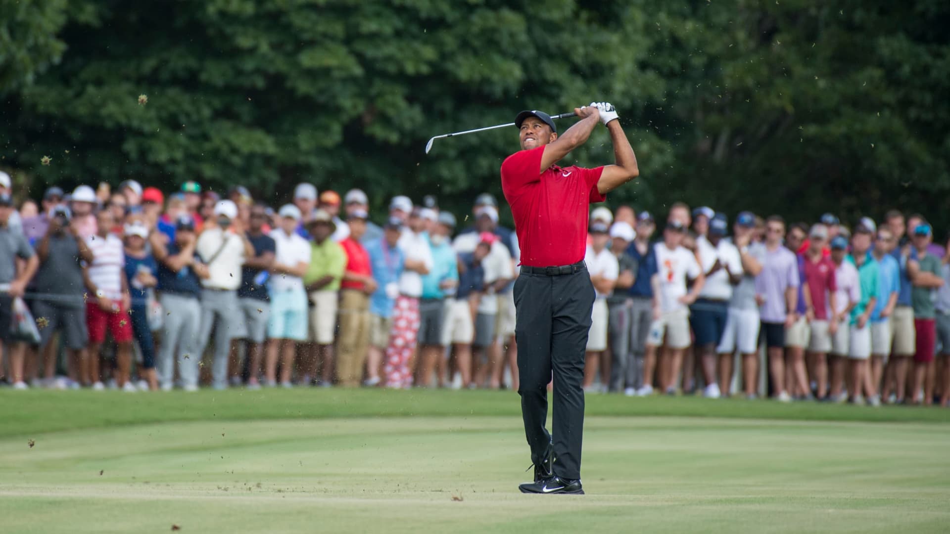 老虎・活士揮桿