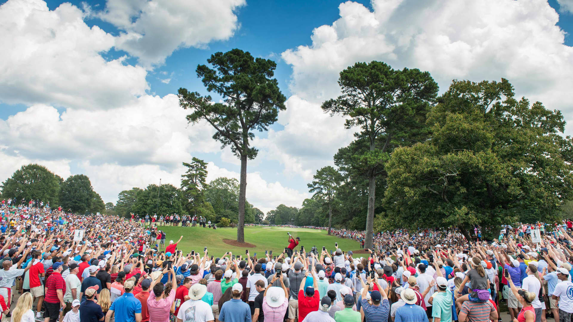 老虎・活士於果嶺