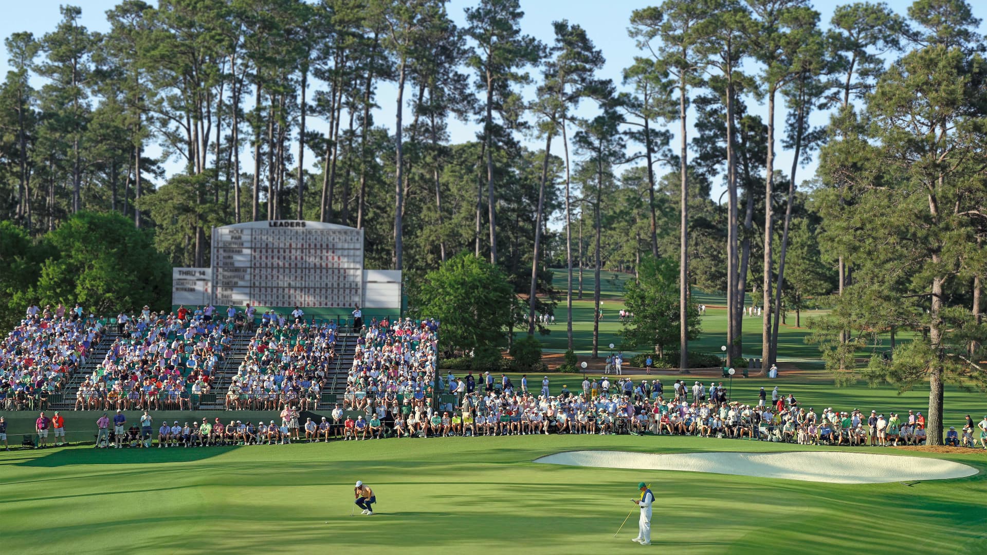 Khu vườn của tài năng