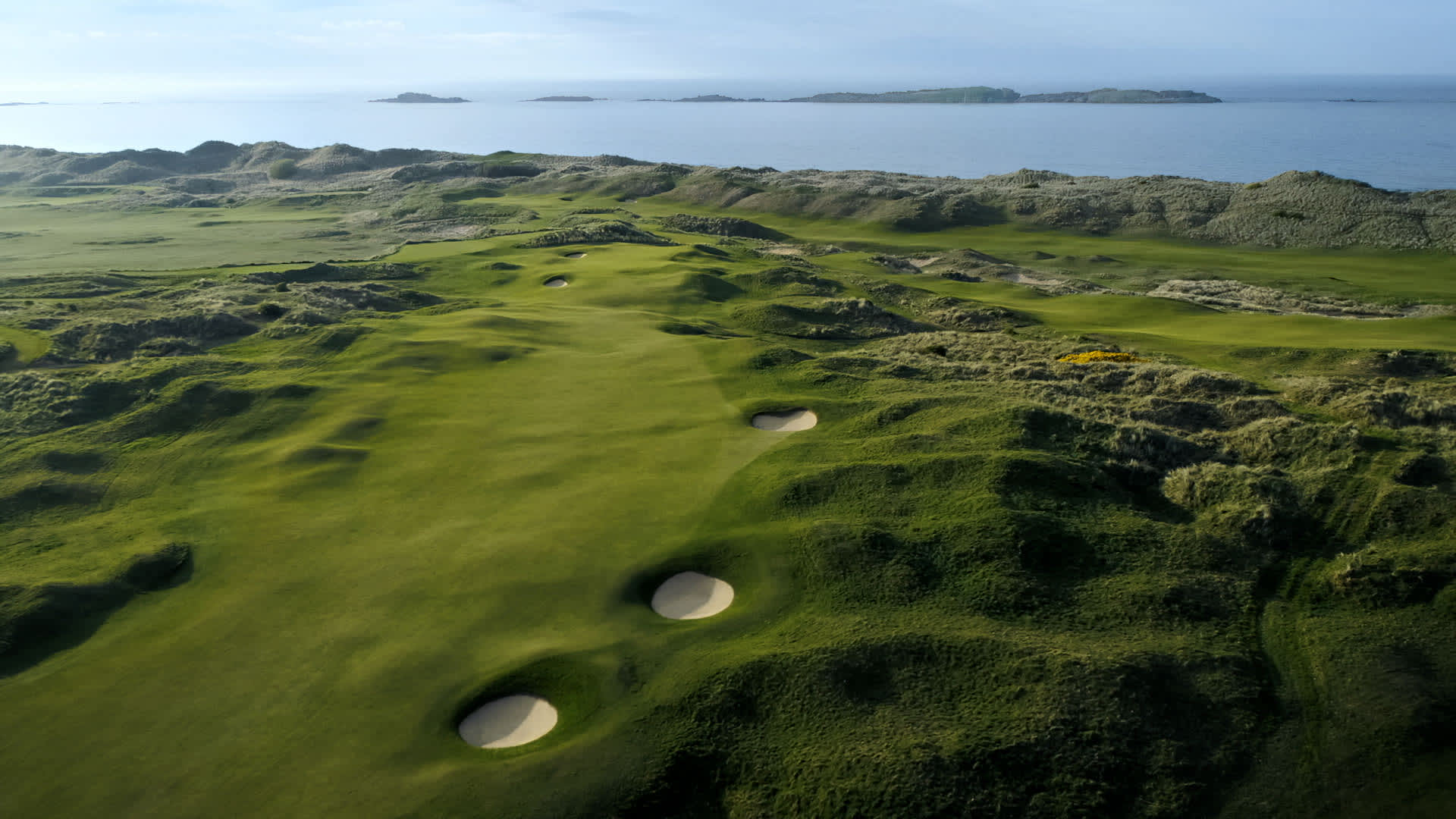 Открытый чемпионат Великобритании по гольфу