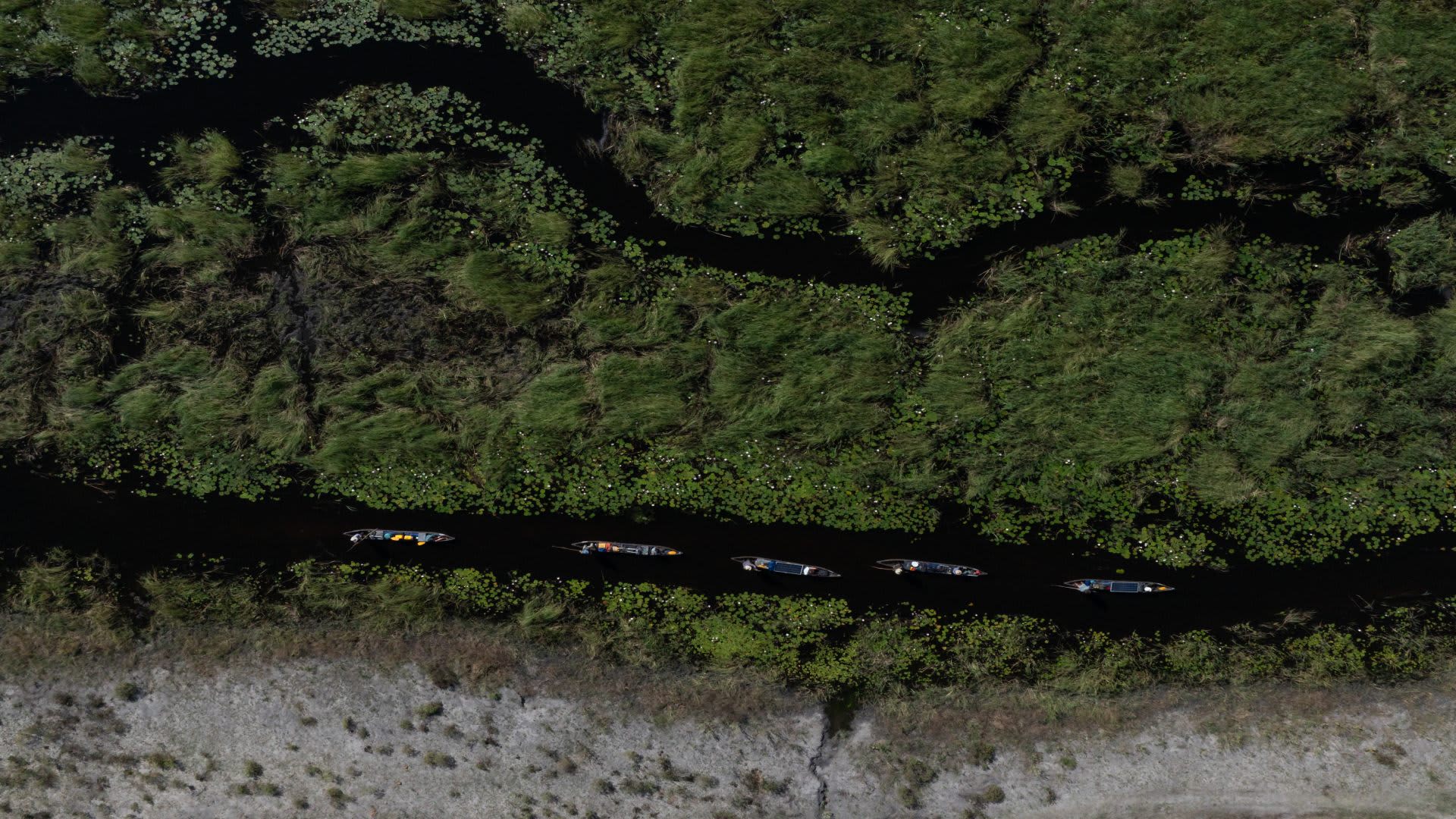 Protegendo nossas águas