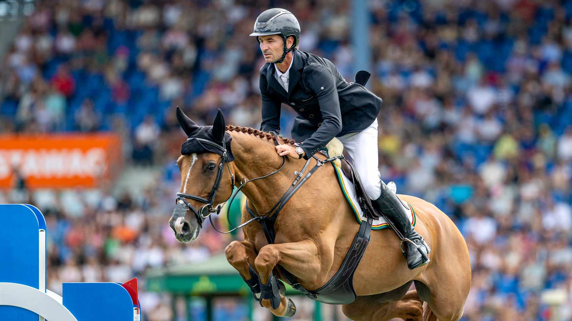 史蒂夫・戈尔达