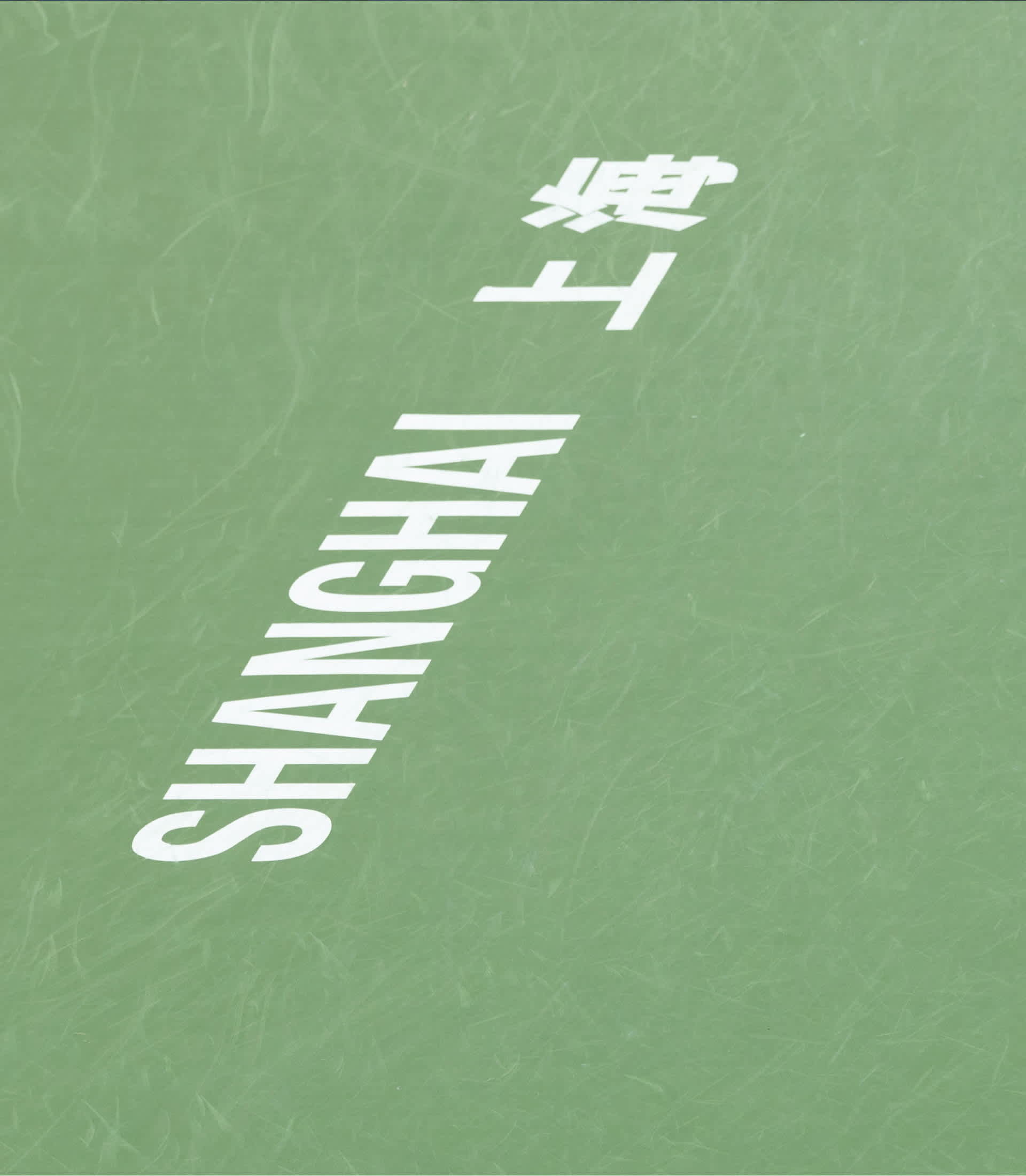 Close-up of the green hard court surface painted with the word Shanghai in English and Chinese