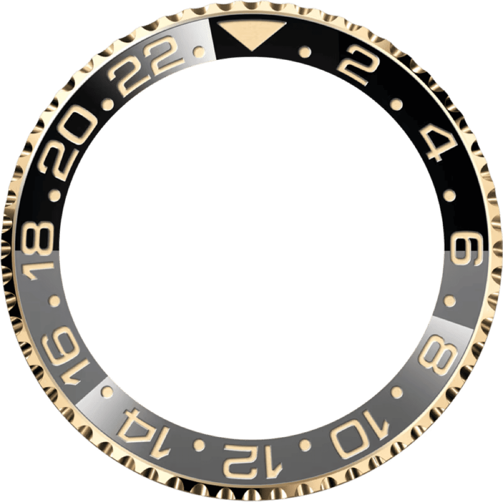 Rolex GMT Master II One movement two time zones Rolex