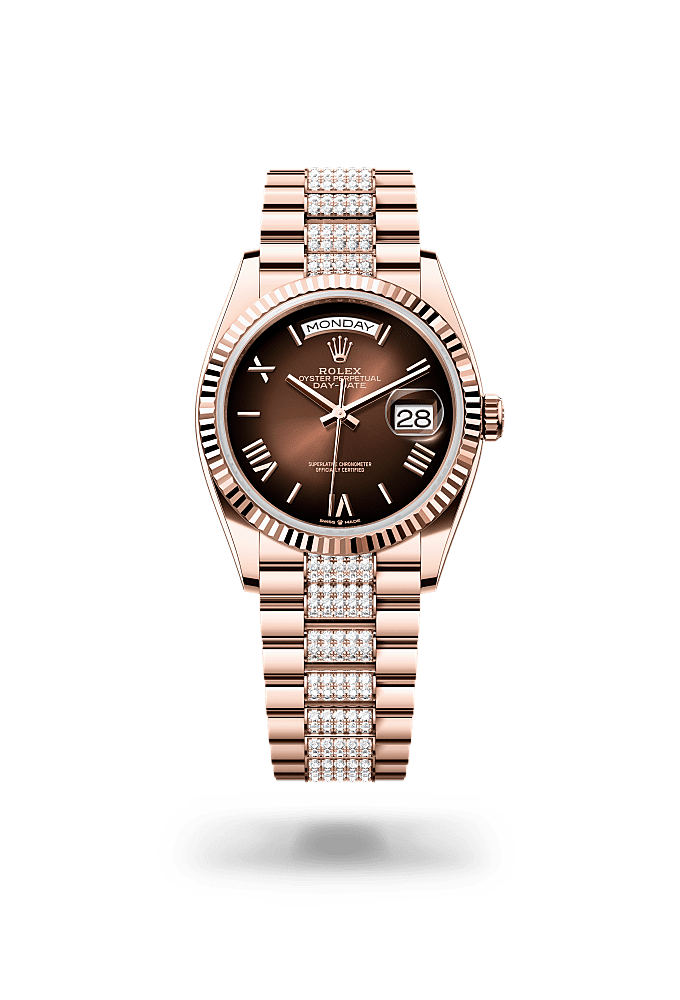 New watches 2024 Discover the new models Rolex