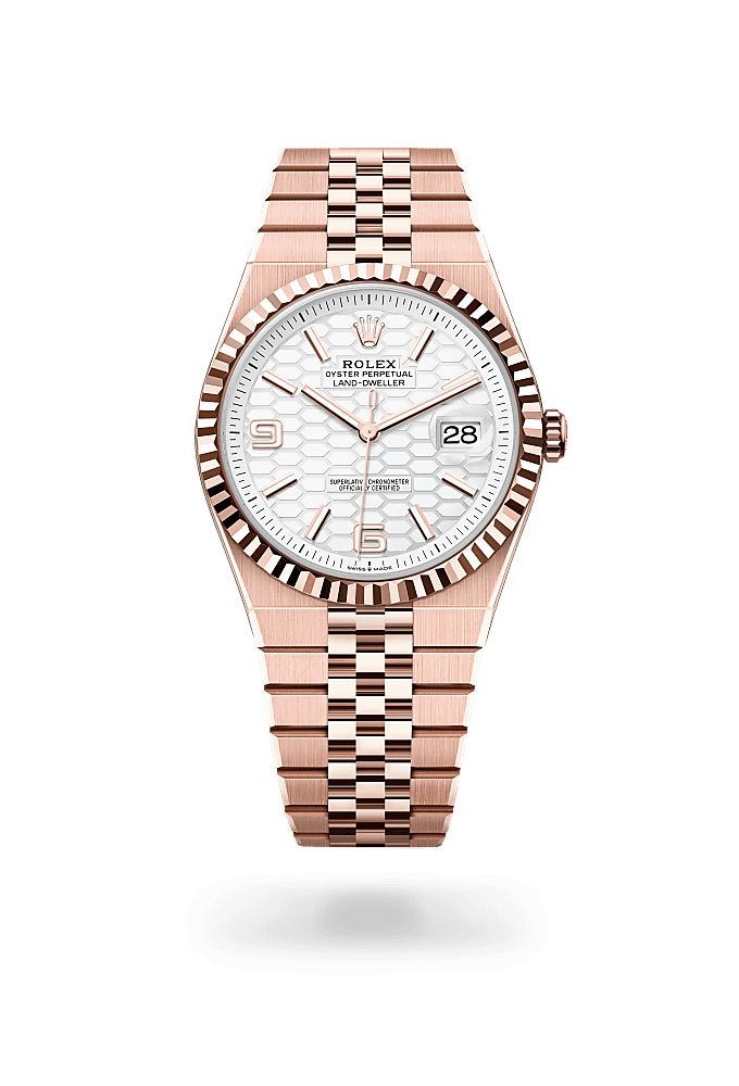 Rolex Sky-Dweller watch: 18 ct yellow gold - m336938-0002