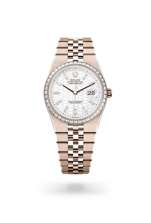Land-Dweller 36 - Oyster, 36 mm, Everose gold and diamonds