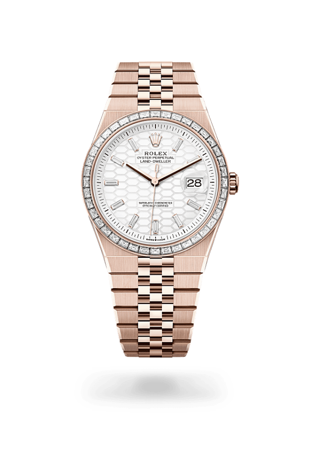 Land-Dweller 40 - Oyster, 40 mm, Everose gold and diamonds