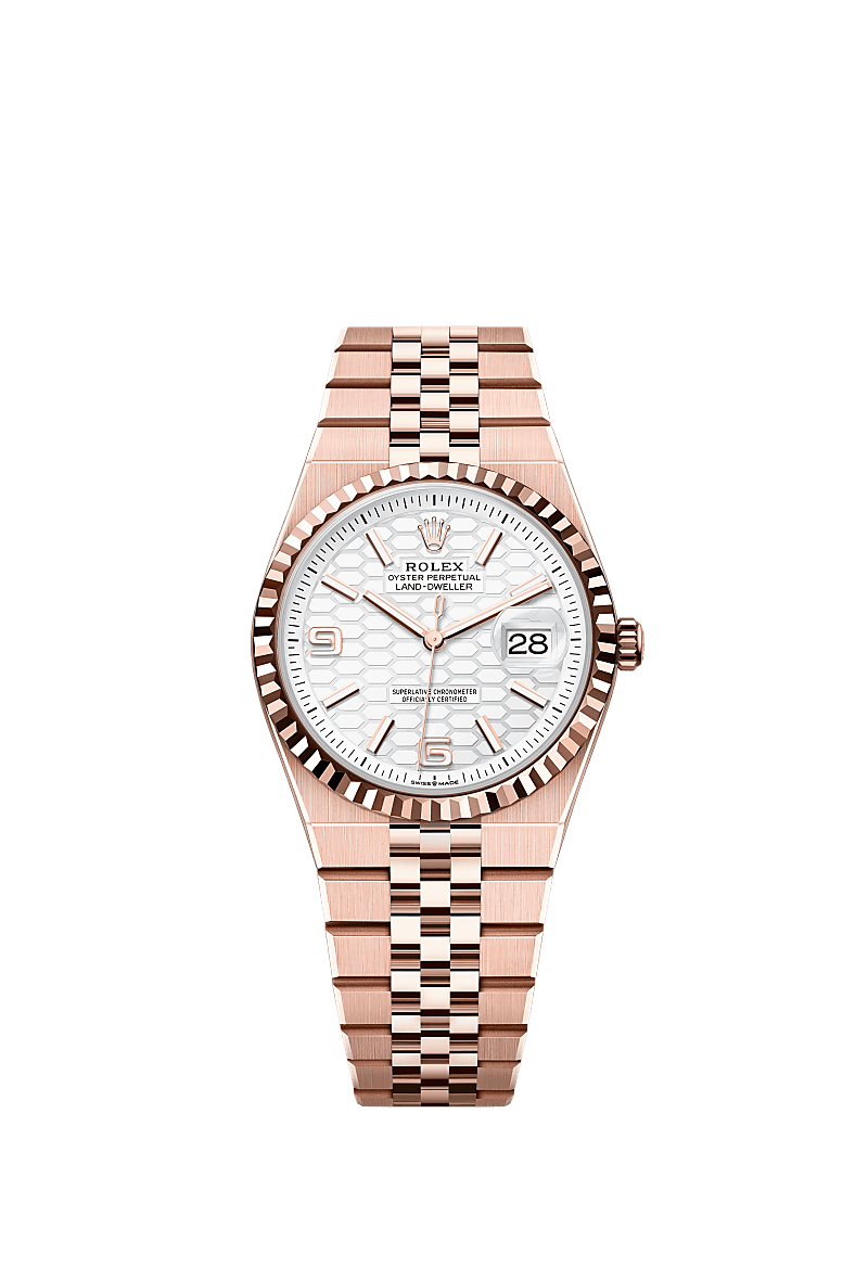 その他 ROLEX Rolex Land-Dweller 36 White Gold/Steel Intense White